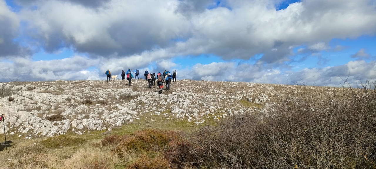 WhatsApp Image 2026-02-10 at 14.47.47 (4)